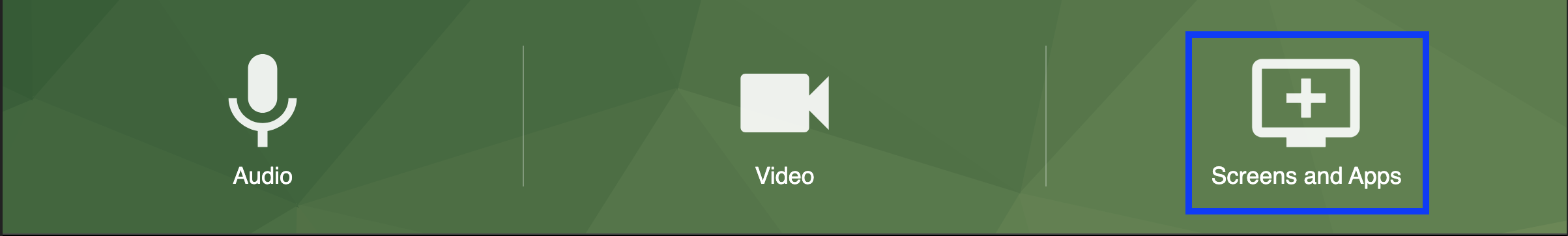 12-edited-screenshot-panopto-capture-top_options.png
