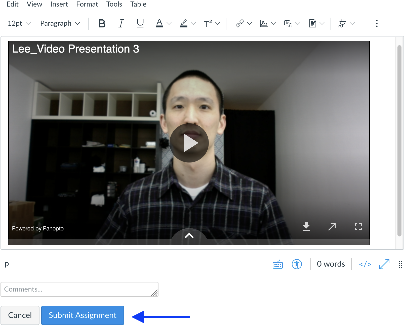 29-edited-screenshot-panopto-capture-submit_assignment.png