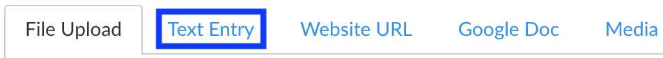 21-edited-screenshot-panopto-capture-text_entry.png